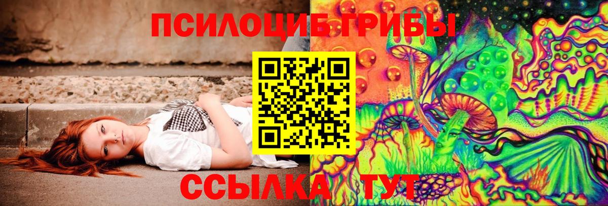 Псилоцибиновые грибы ЛСД  Вход с VPN  Курганинск 