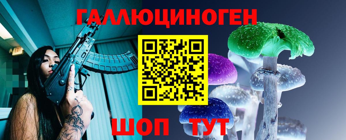 Псилоцибиновые грибы Psilocybine cubensis Курганинск